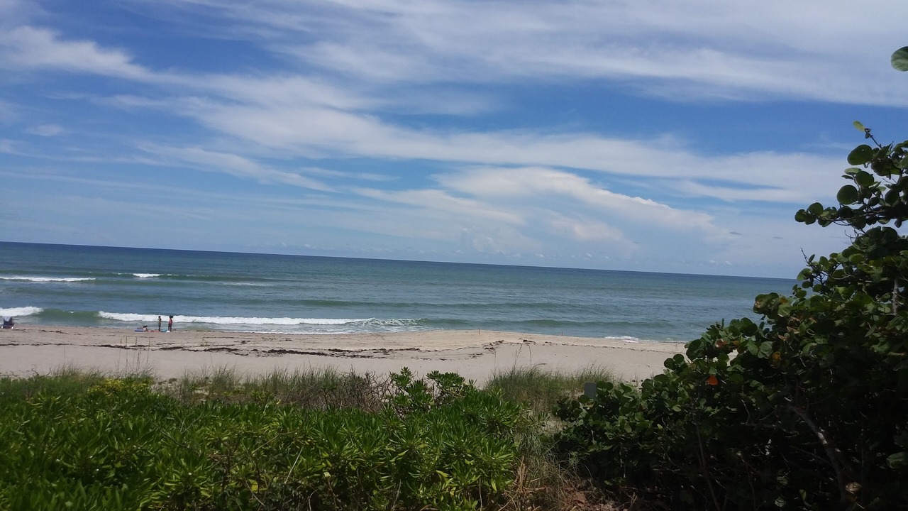 Photo of Others in Juno Beach