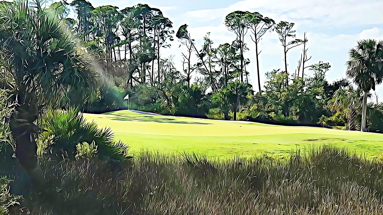 Photo of Others in Saint Helena Island