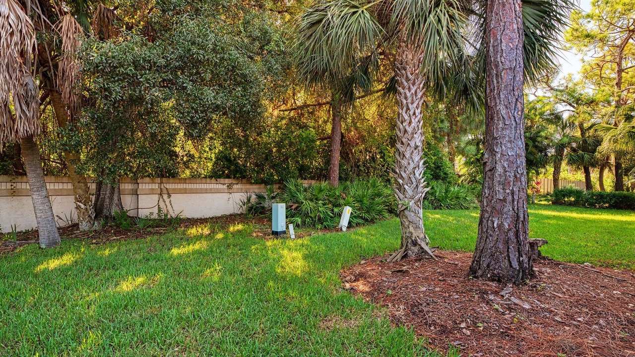 Photo of Outdoor in Sarasota