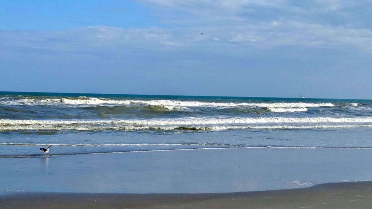 Photo of Others in Indialantic