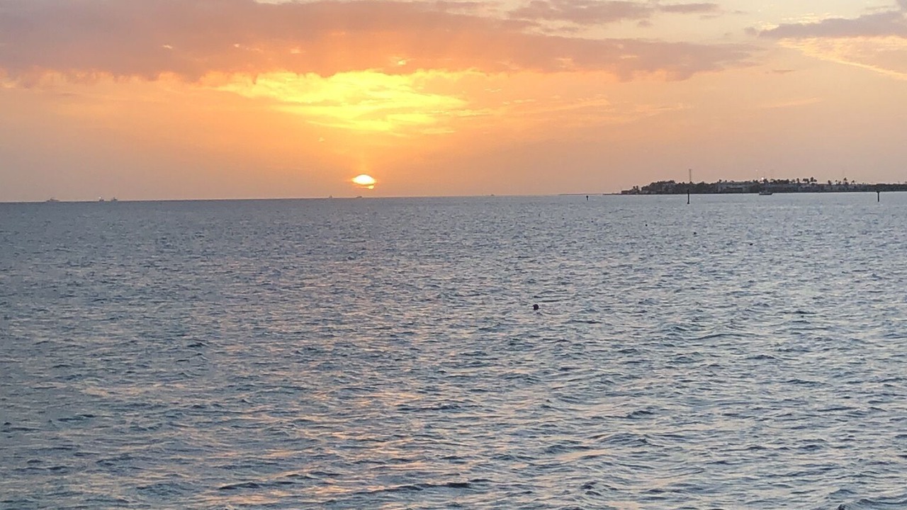 Photo of Others in Key Largo