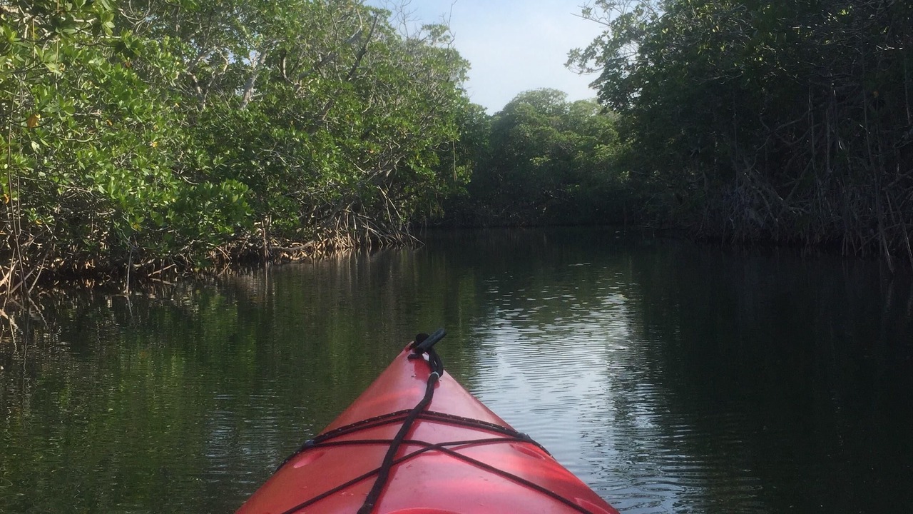 Photo of Others in Key Largo Village