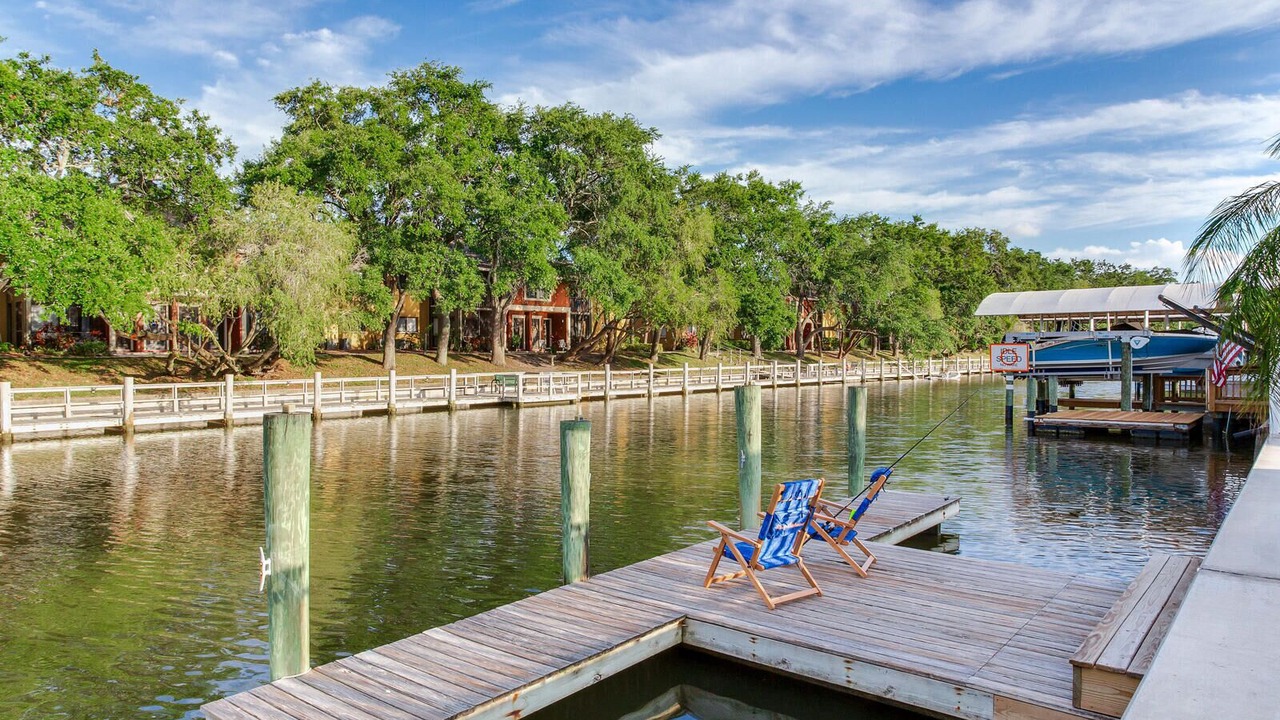 Photo of Others in Tampa Shores