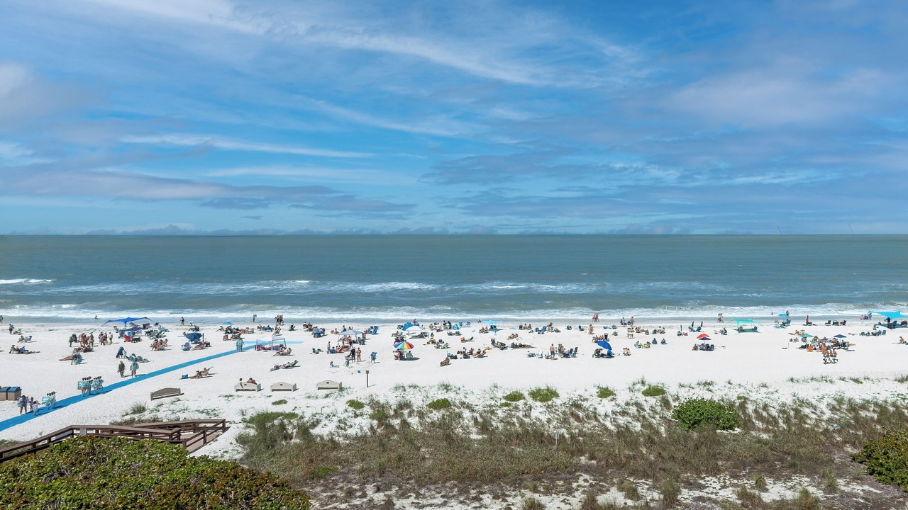 Photo of Others in Marco Island