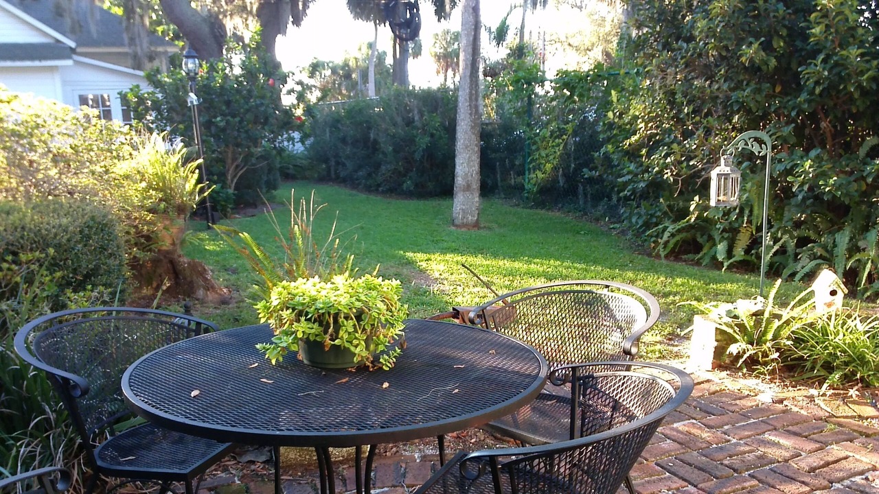 Photo of Outdoor in Safety Harbor