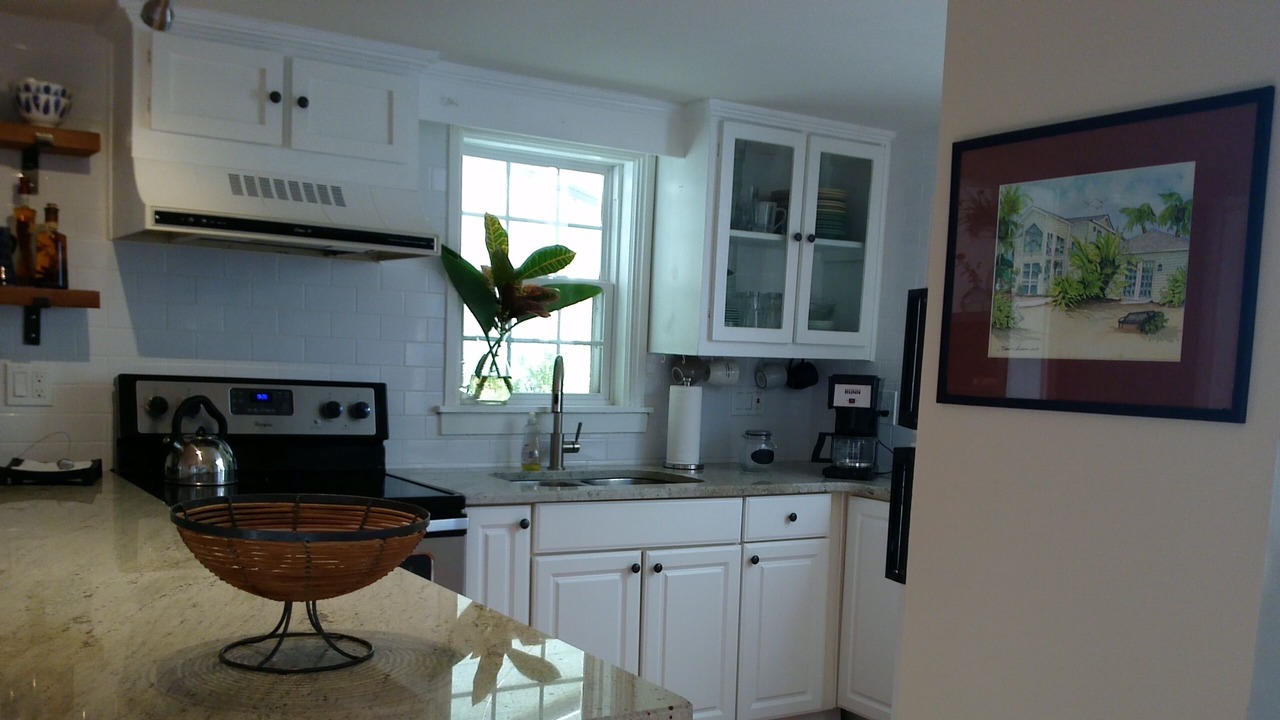 Photo of Kitchen in Safety Harbor