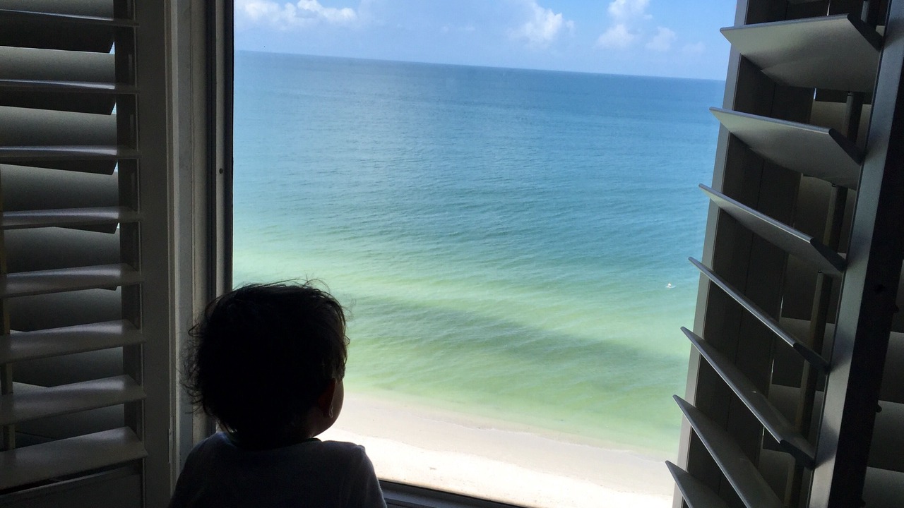 Photo of Others in Bonita Springs
