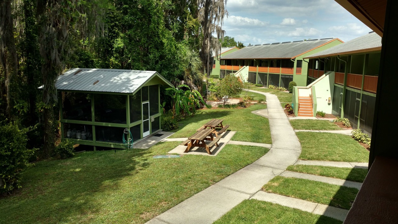 Photo of Outdoor in Lutz