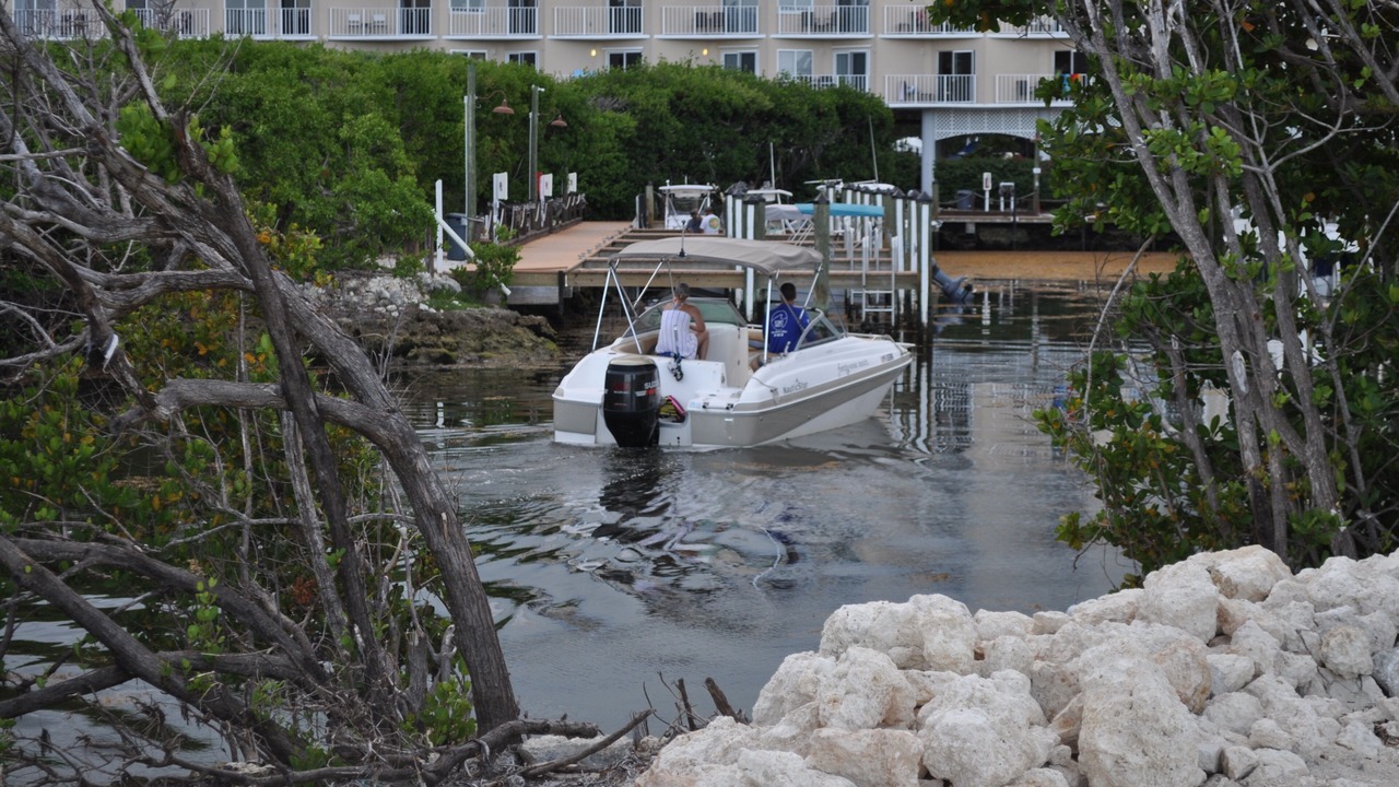 Photo of Others in Tavernier