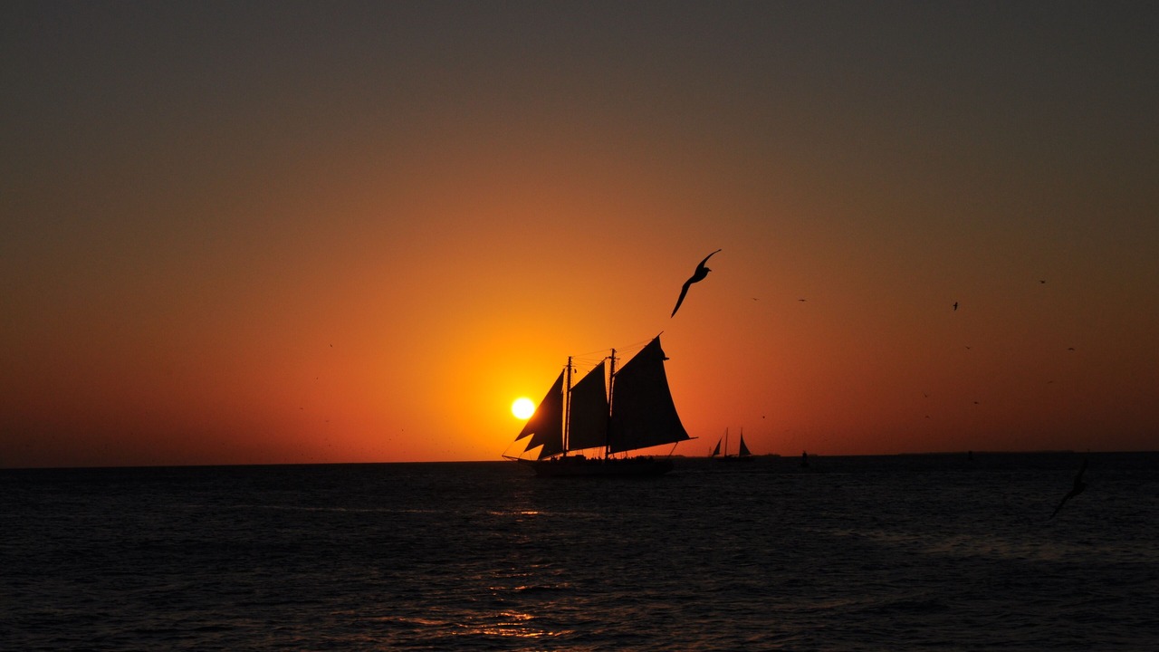 Photo of Others in Tavernier
