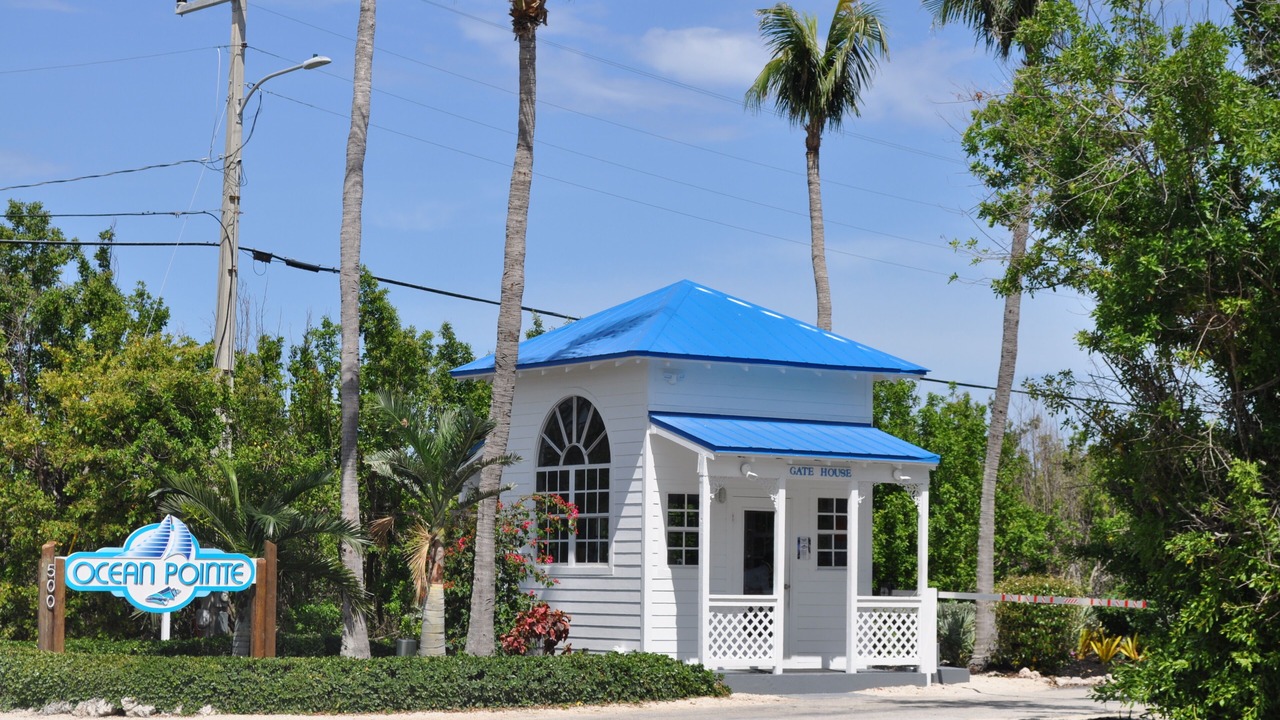 Photo of Others in Tavernier