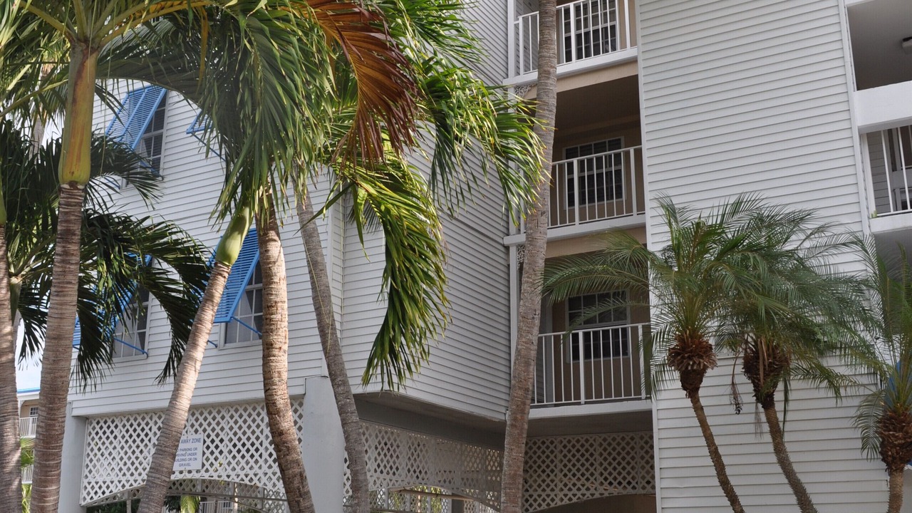 Photo of Others in Tavernier