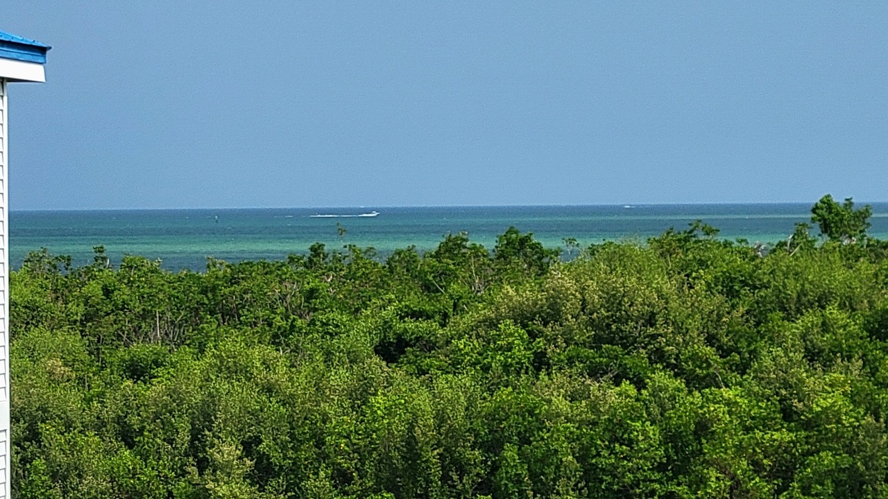 Photo of Patio Balcony in Tavernier
