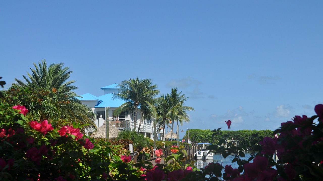 Photo of Others in Tavernier
