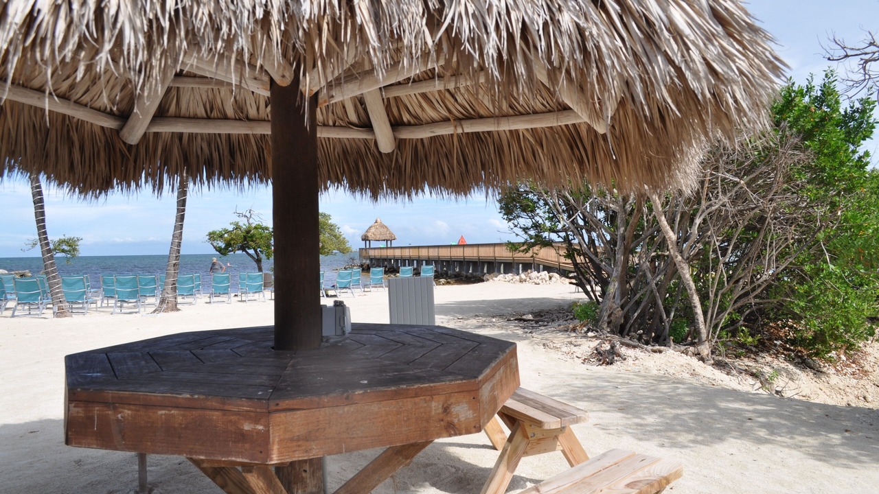 Photo of Others in Tavernier