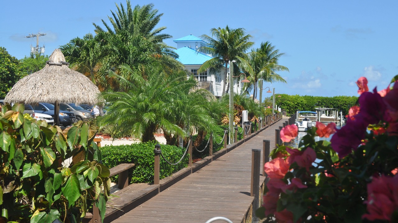 Photo of Others in Tavernier