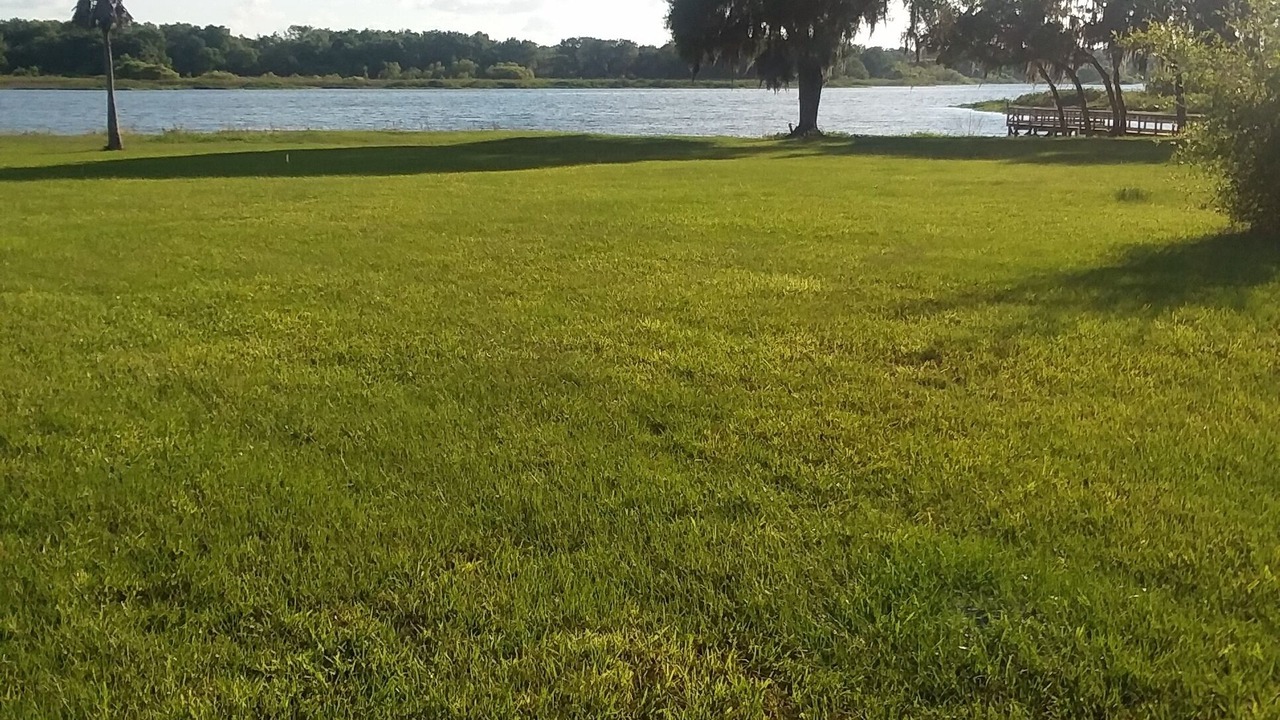 Photo of Others in Braden River