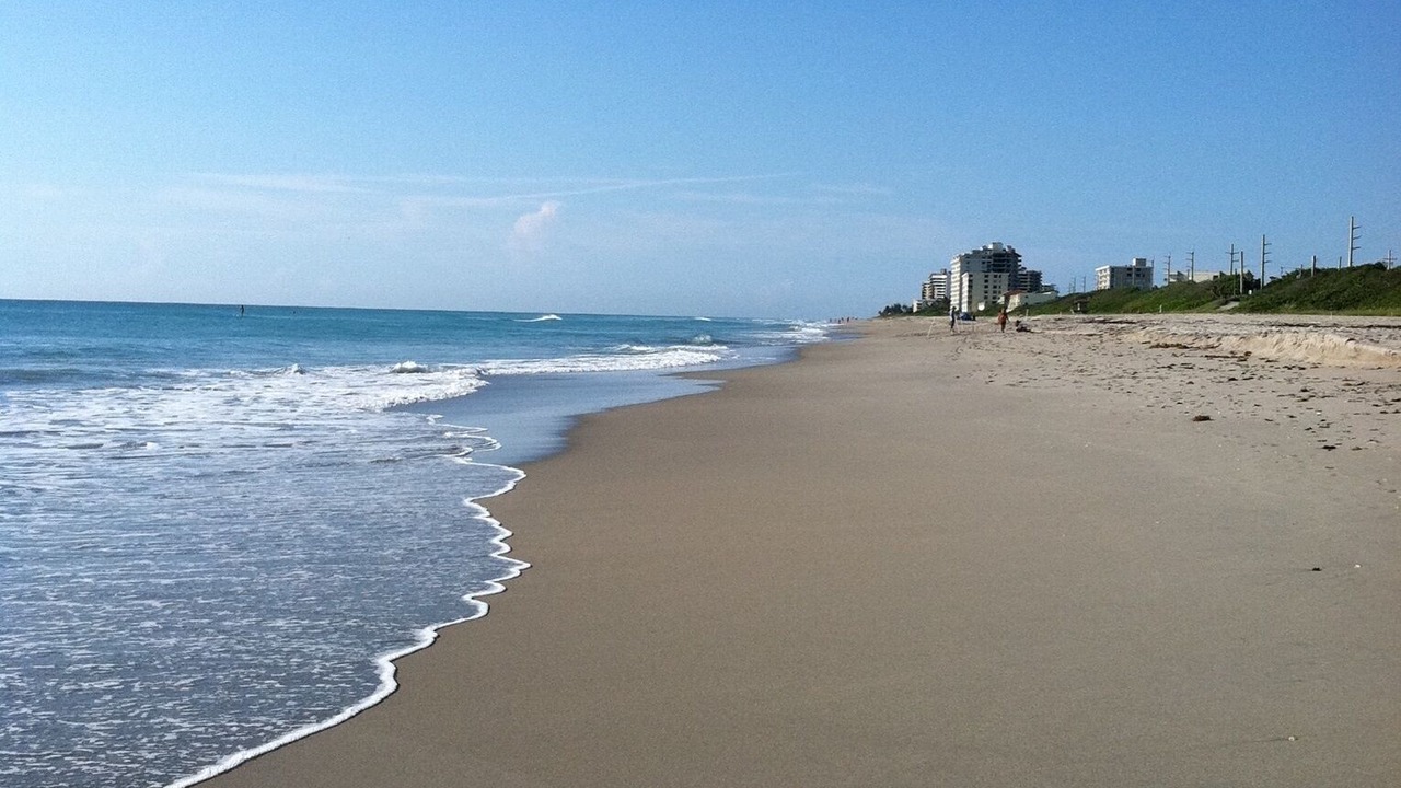 Photo of Others in Jupiter