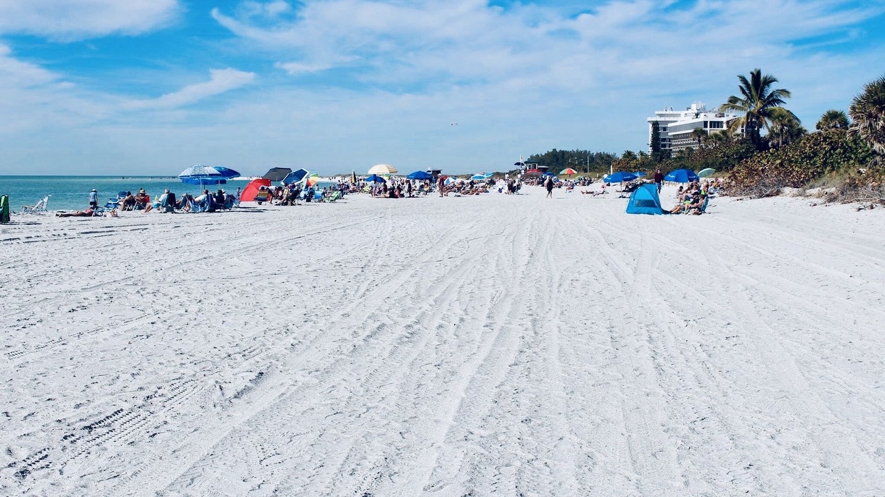 Photo of Others in Sarasota