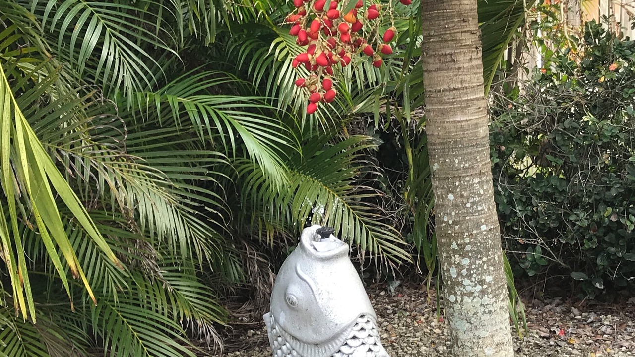 Photo of Outdoor in Fort Myers