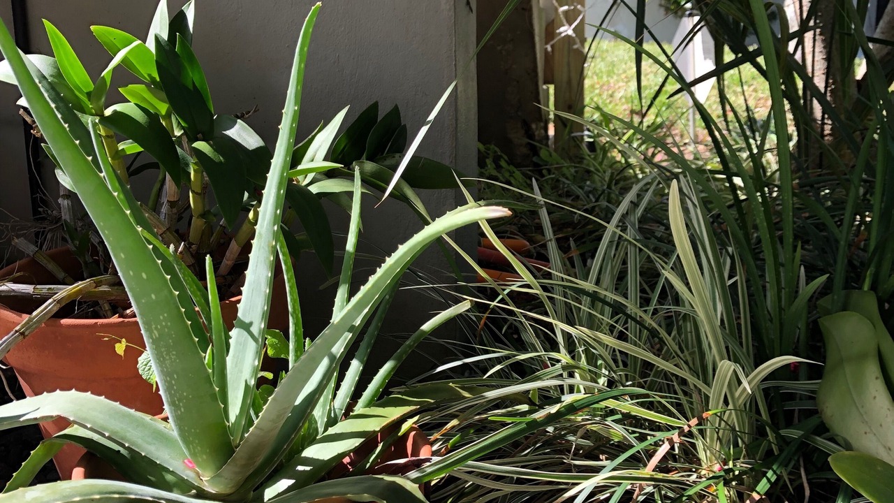 Photo of Outdoor in Historic Downtown Melbourne