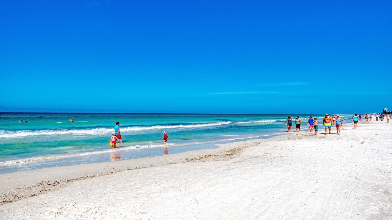 Photo of Others in Siesta Key