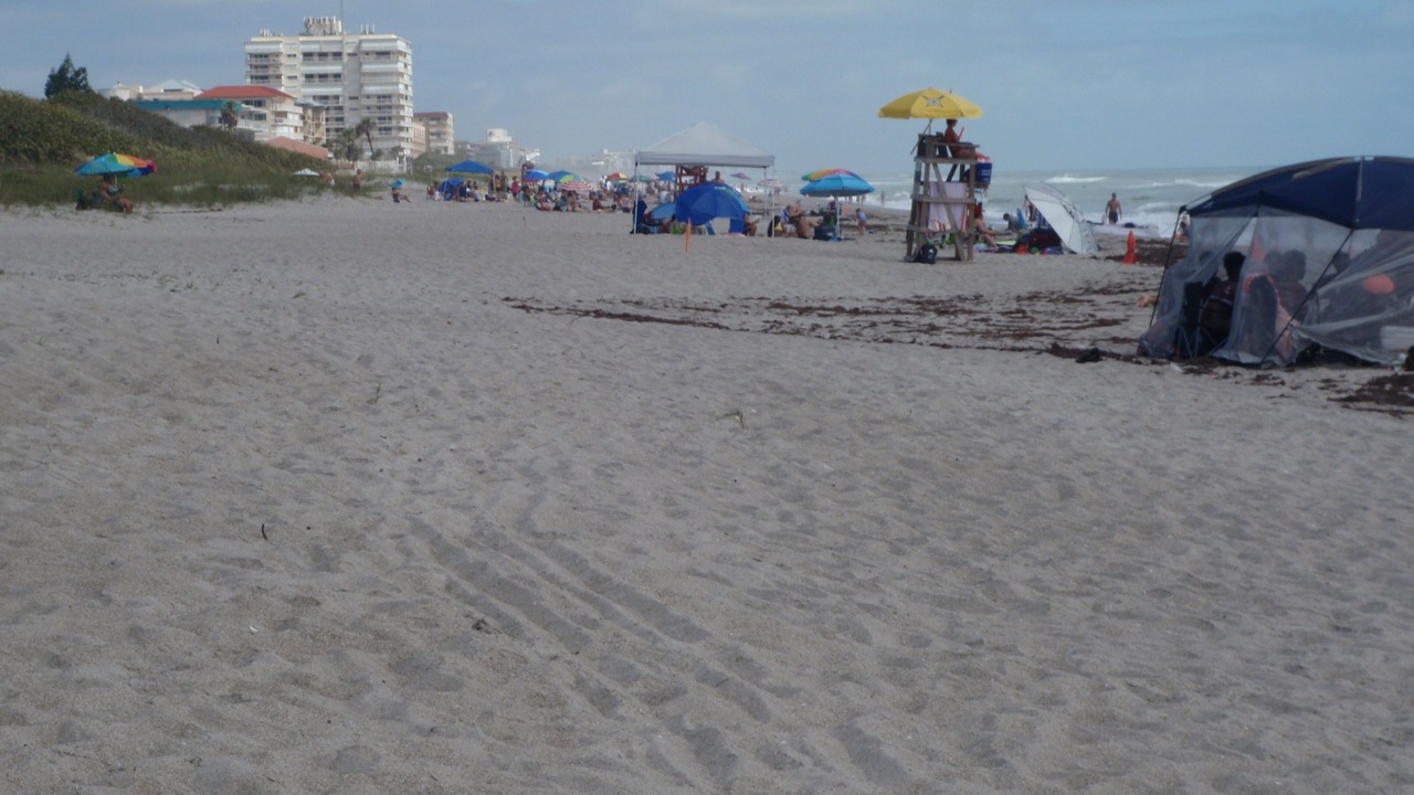 Photo of Others in Indialantic By The Sea