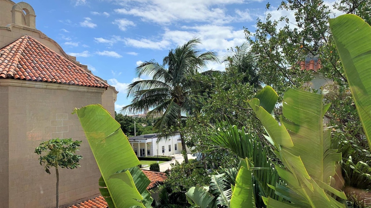 Photo of Others in Palm Beach
