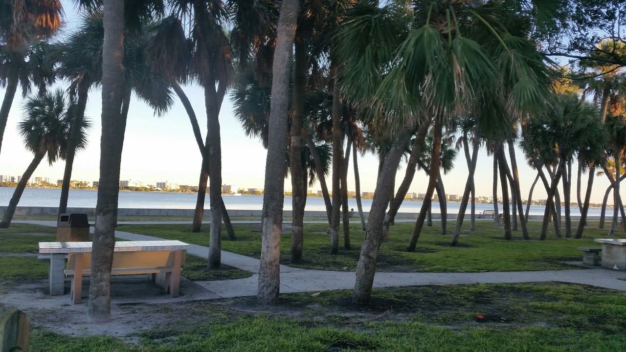 Photo of Others in South Palm Park Neighborhood Association