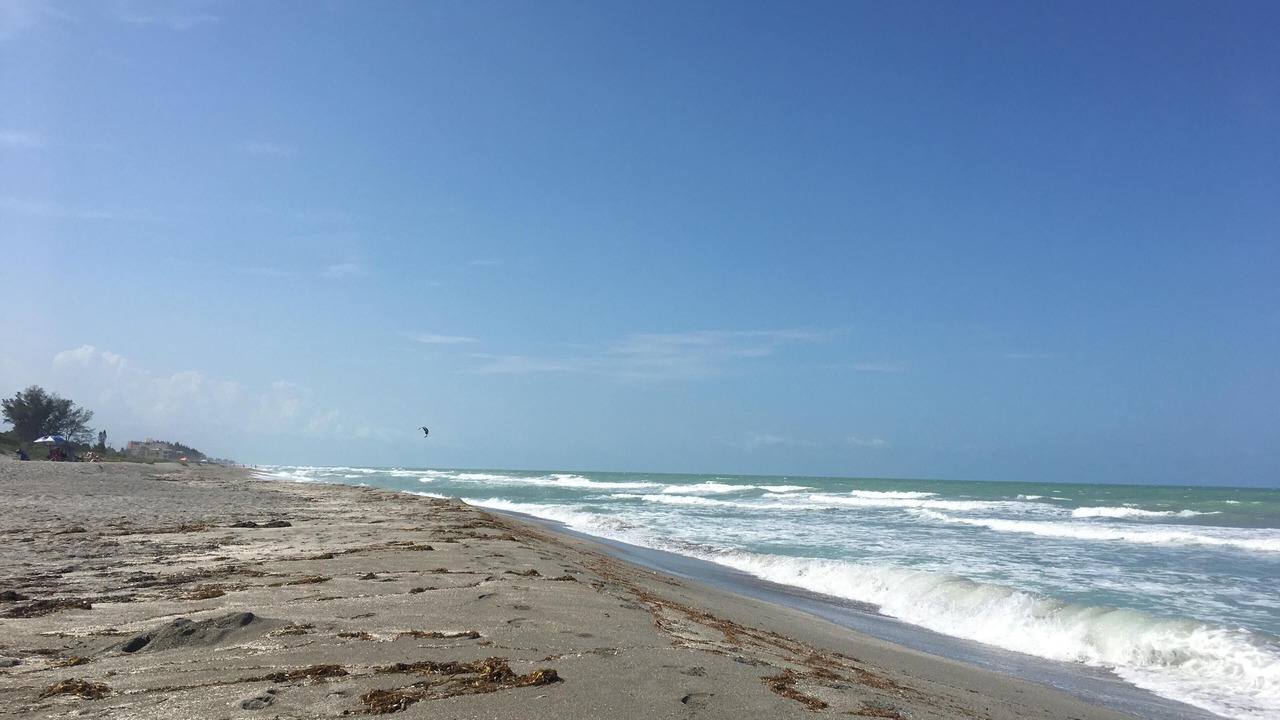 Photo of Others in Siesta Key
