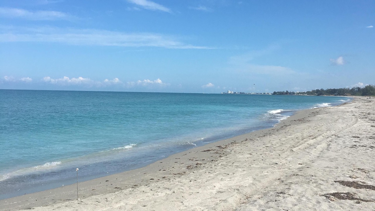 Photo of Others in Siesta Key