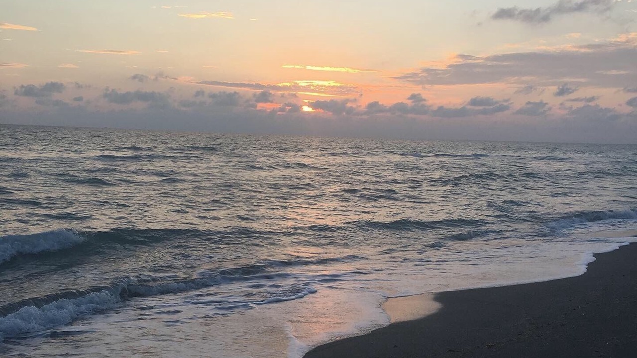Photo of Others in Siesta Key