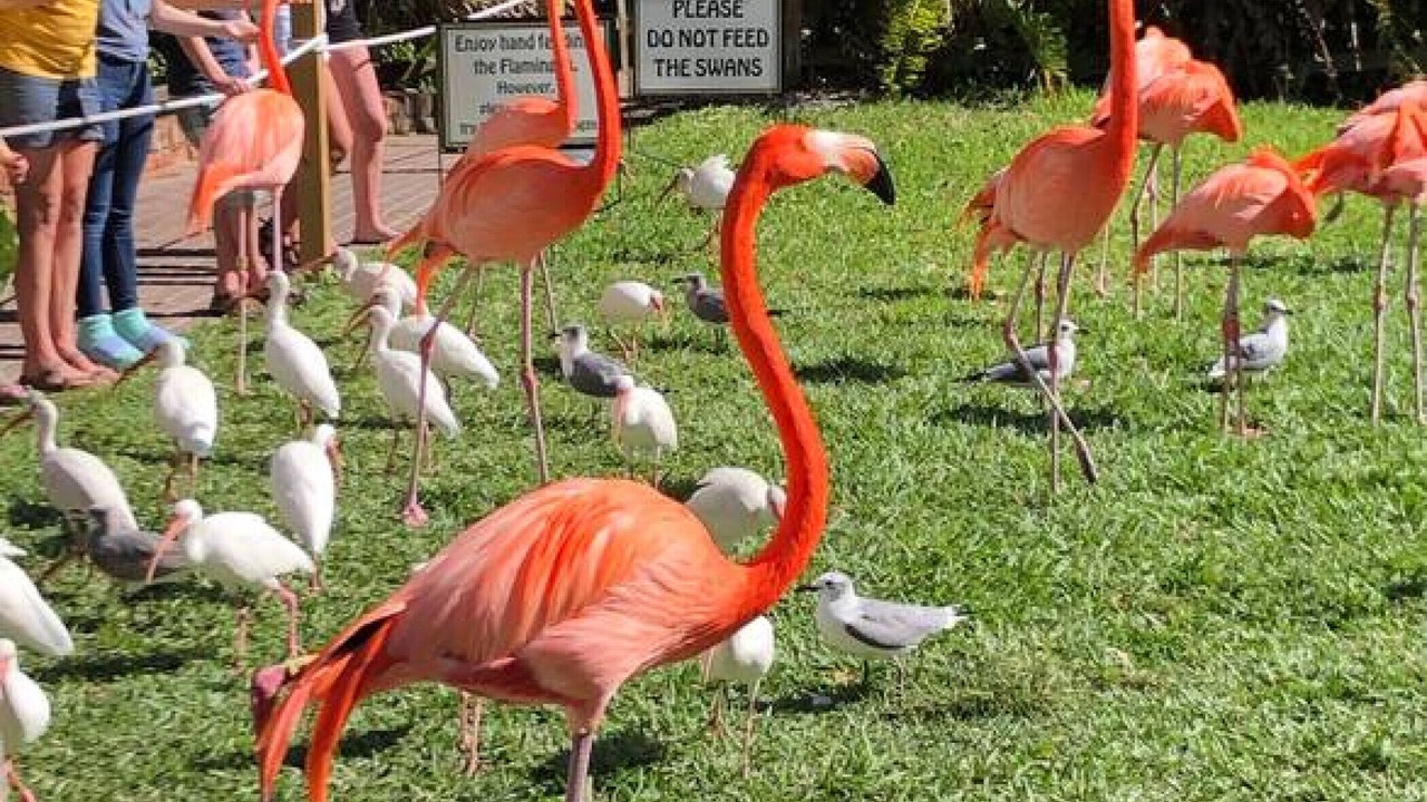 Photo of Others in Indian Beach Sapphire Shores