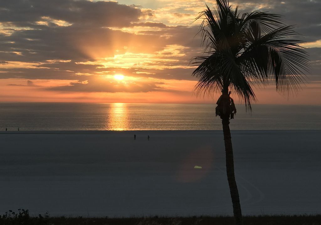 Photo of Others in Marco Island