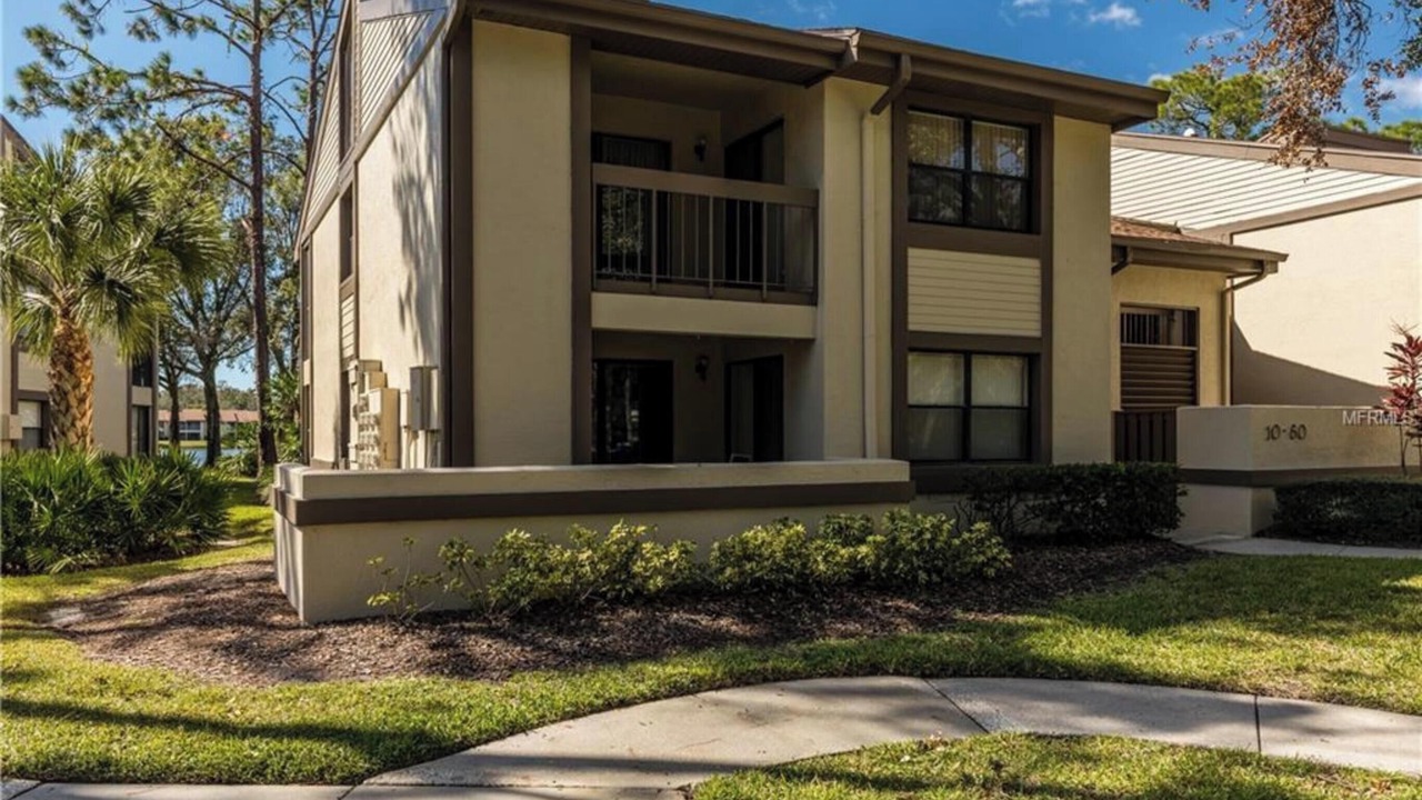 Photo of Outdoor in Oldsmar
