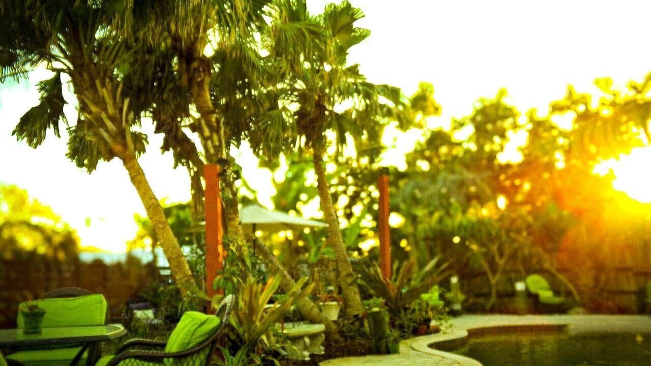 Photo of Outdoor in South Venice