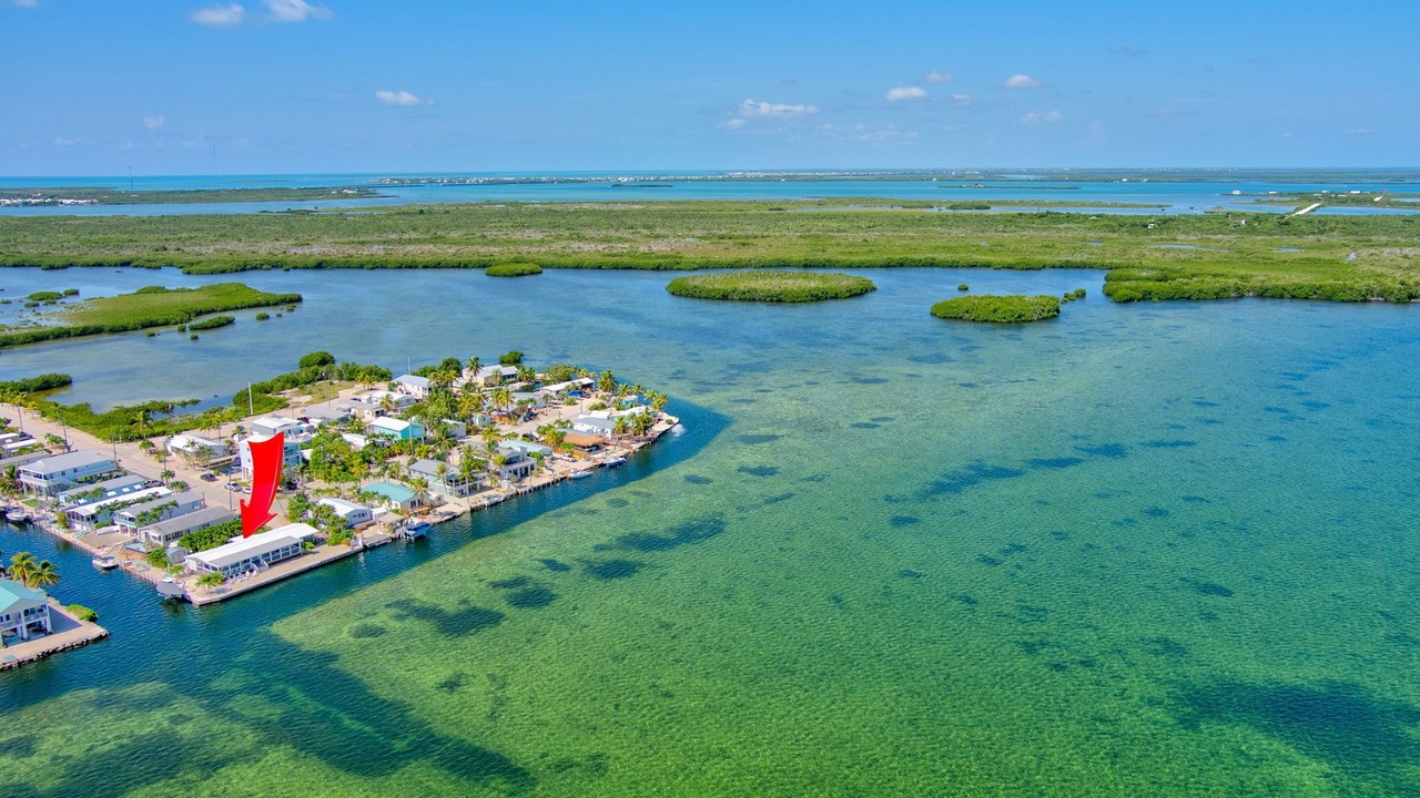 Photo of Outdoor in Little Torch Key