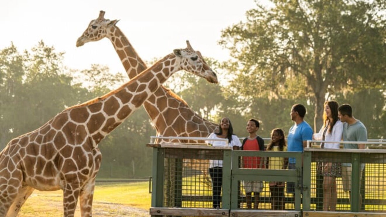 Photo of Others in Citrus Park