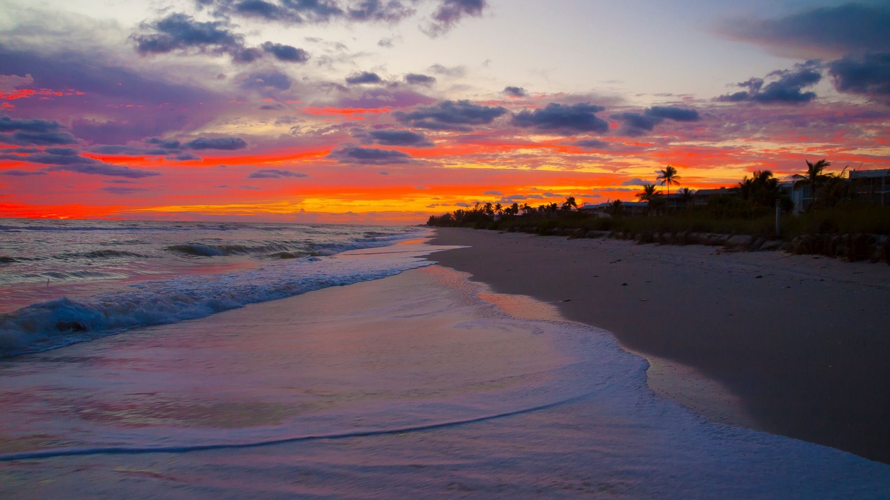 Photo of Others in Sanibel