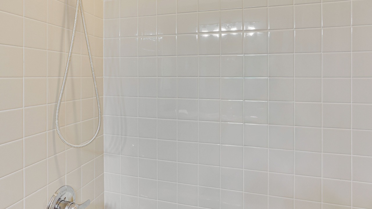 Photo of Bathroom in Sebring