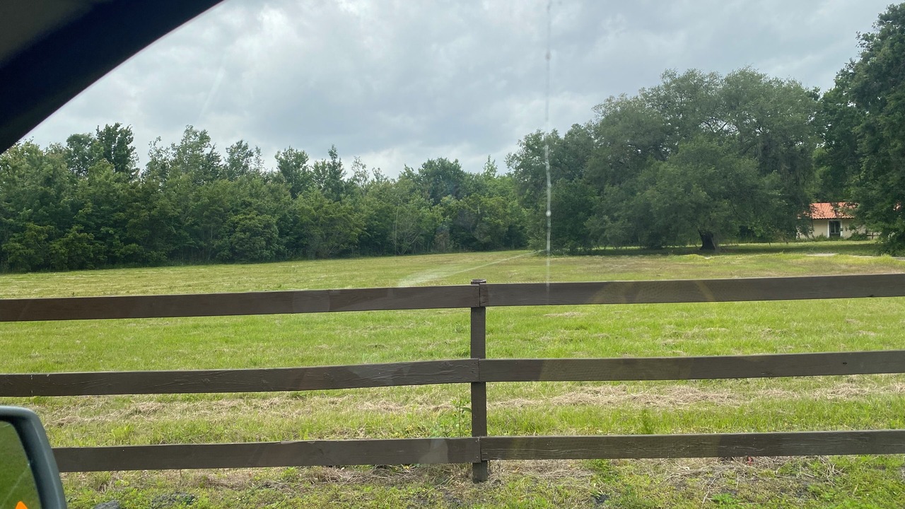 Photo of Others in Seffner