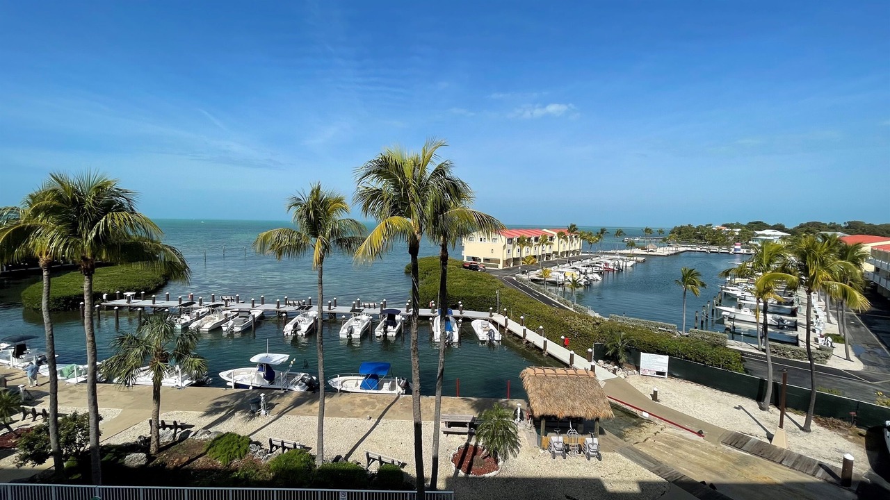 Photo of Others in Islamorada