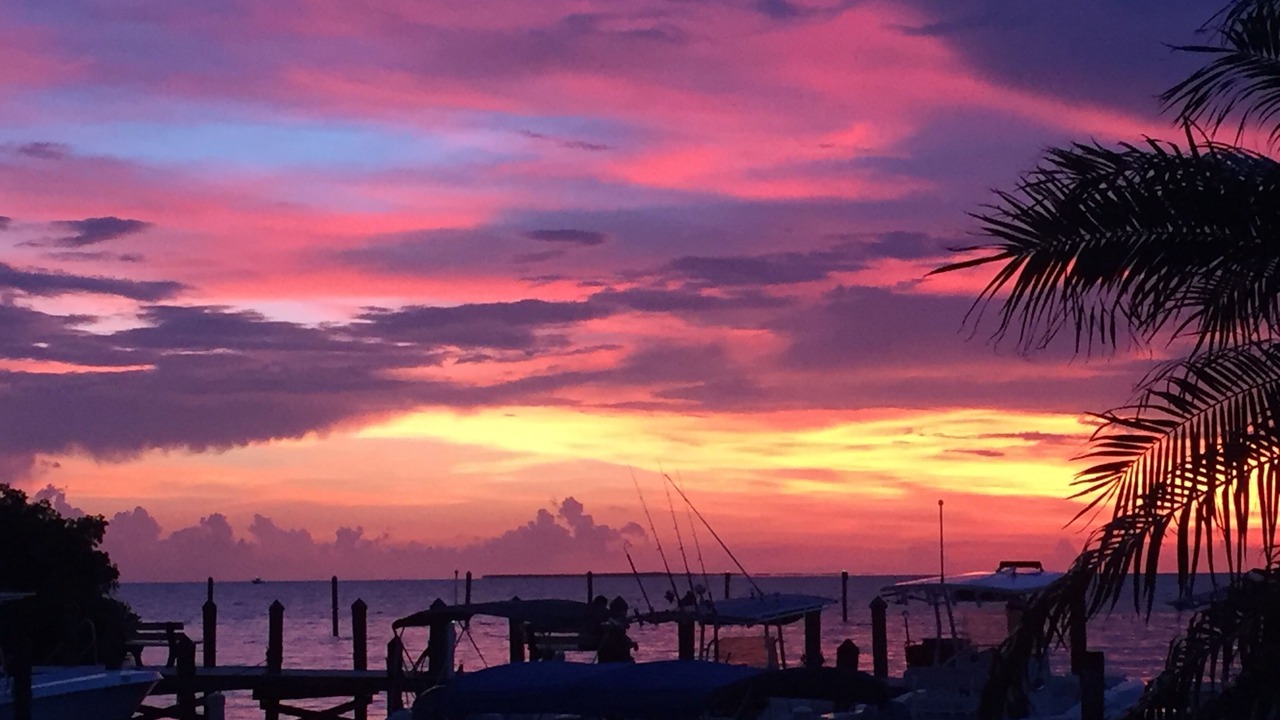 Photo of Others in Islamorada