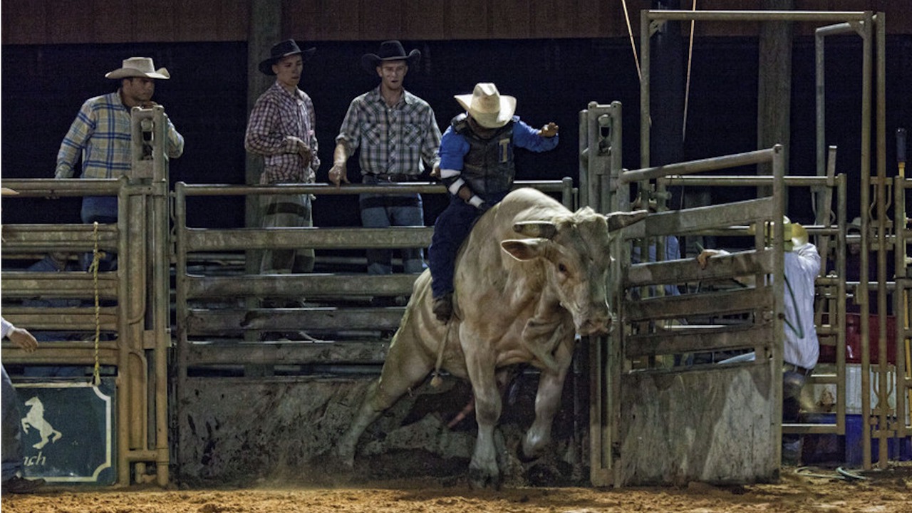 Photo of Others in River Ranch