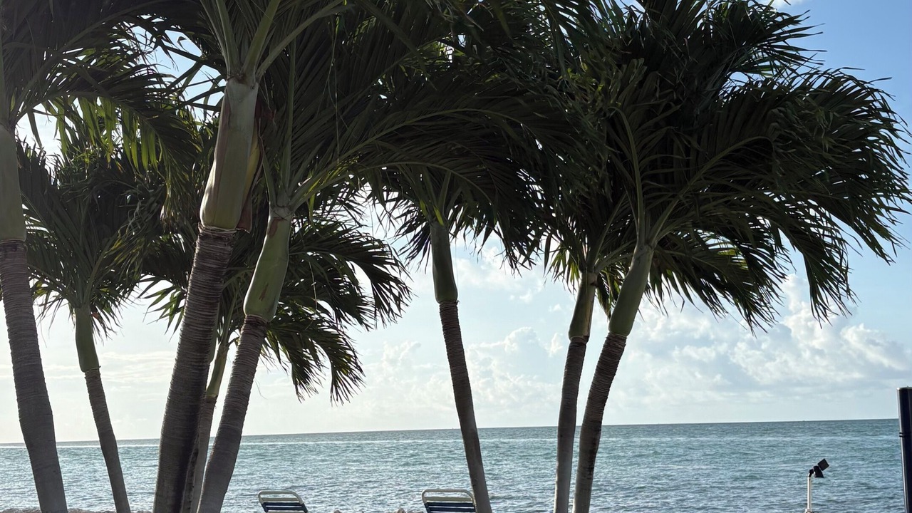 Photo of Outdoor in Key Colony Beach