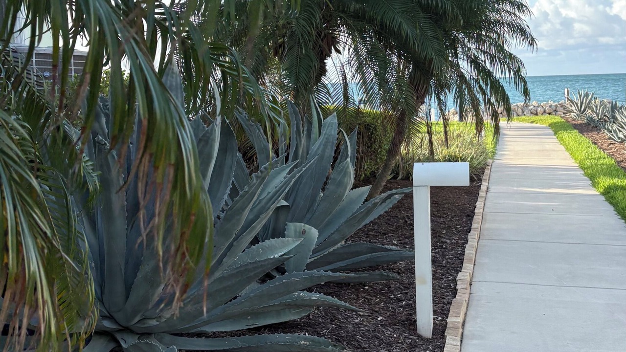 Photo of Outdoor in Key Colony Beach