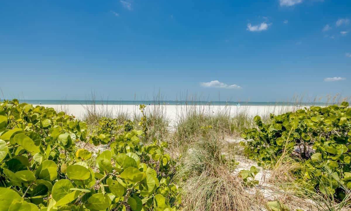 Photo of Others in Fort Myers Beach