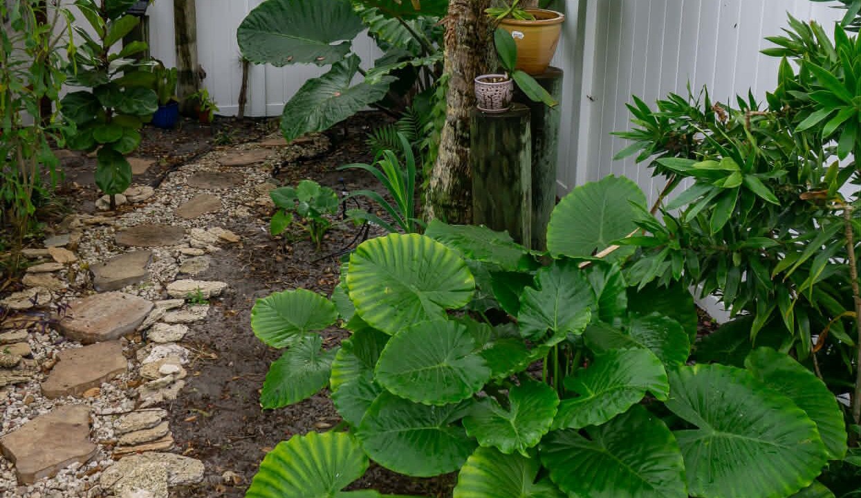 Photo of Outdoor in St. Lucie Village
