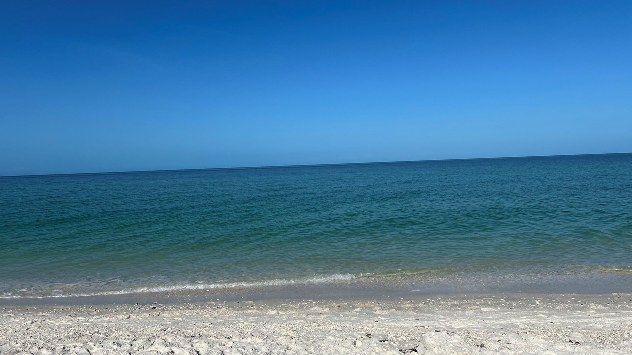 Photo of Others in Bonita Springs