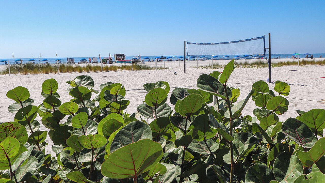 Photo of Others in Fort Myers Beach